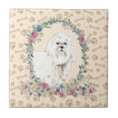 Search for maltese tiles Adorable