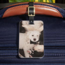 Search for dog napping accessories Sleeping