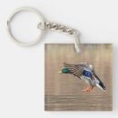 Search for duck key rings Pond