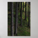 Search for isolate photography Isolated