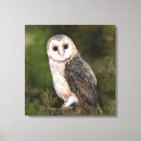Search for owl painting canvas prints Bird