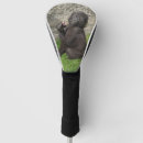Search for cute golf head covers Baby animal