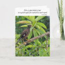 Search for bird pet memorials Condolences