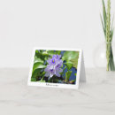 Search for lavender hydrangea cards Flowers