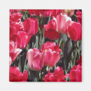 Search for special occasions magnets Graduation
