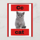 Search for alphabet cards Kids