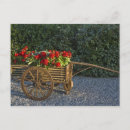 Search for carte postcards Flower