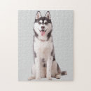 Search for siberian husky puzzles Dog lover