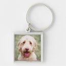 Search for mixed breed key rings Puppy