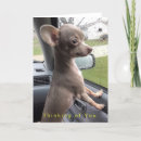 Search for thinkingofyou cards Getwell