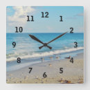 Search for beach bird Sand
