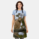 Search for hawk aprons Wildlife