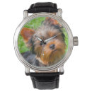 Search for yorkshire watches Dog