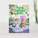 Search for like a sister birthday cards Sister in law