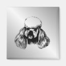 Search for poodle puppy magnets Canine