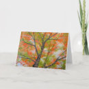 Search for colored leaf cards Trees