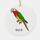 Search for tropical christmas tree decorations Pet