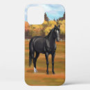 Search for black stallion iphone cases Horses
