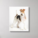 Search for fox terrier posters Pet