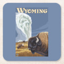 Search for buffaloes coasters Wyoming