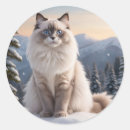 Search for winter cat stickers Pet