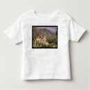 Search for st martin tshirts Church