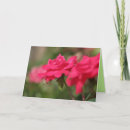Search for best friends friendship day cards Flowers