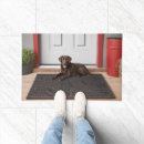 Search for labrador dog garden decor Chocolate