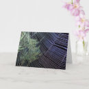 Search for spider web halloween cards Spiders