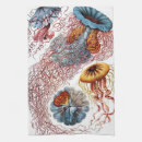 Search for marine tea towels Ernst haeckel