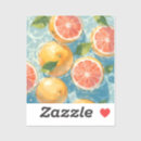 Search for tangerine stickers Cute