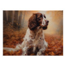Search for springer spaniel dog posters Pet