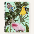 Search for bird of paradise Greenery