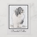 Search for black beard postcards Black and white