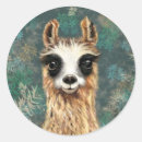 Search for funny llama stickers Cartoon