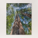 Search for marines puzzles Forest