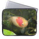 Search for pet fish cases Pets