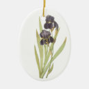 Search for iris christmas tree decorations Flowers
