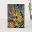 Search for medium format cards Jaynes gallery