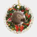 Search for african grey parrot christmas tree decorations Bird