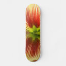 Search for butterflies skateboards White