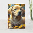 Search for lab dog cards Puppy