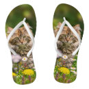 Search for kitty shoes Animal
