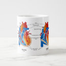 Search for anatomy mugs Cardiology