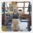 Search for not your workout stickers Gym