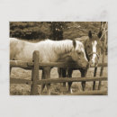 Search for friends for life cards Inspirational