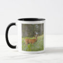 Search for mule deer mugs Outdoors