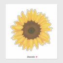 Search for big sunflower stickers Yellow