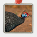 Search for guinea fowl decor Bird