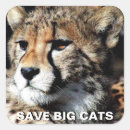 Search for brown monkey stickers Primate